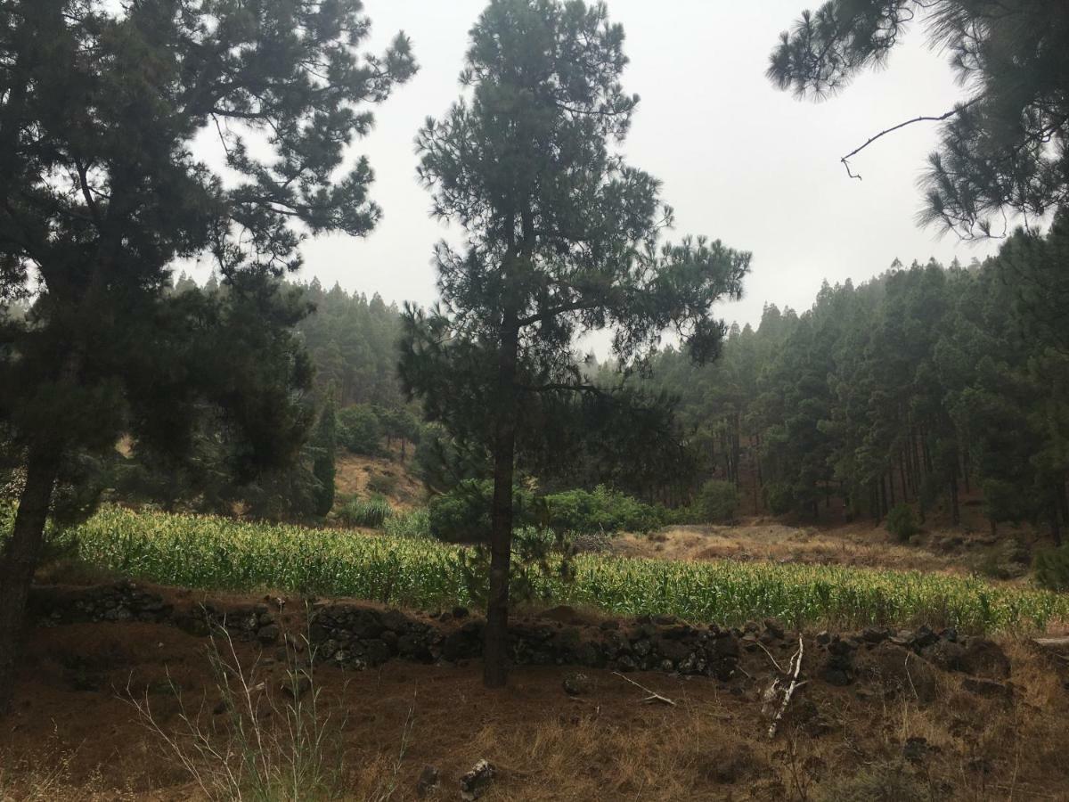 La Casita De Palmas Vv Maison d'hôtes